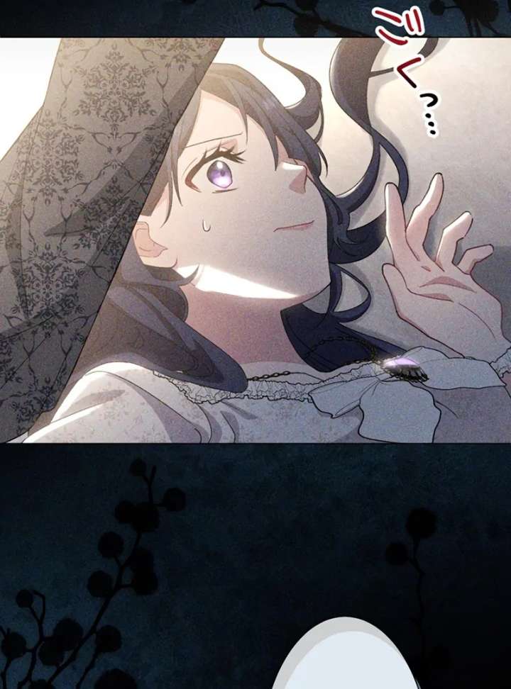 The Obsessed Young Prince Loves the Unlucky Princess Too Much! Chapter 4 - Page 41