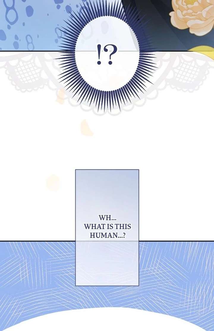 The Coldhearted Duke Is Obsessed With the Seal Princess Chapter 1 - Page 105