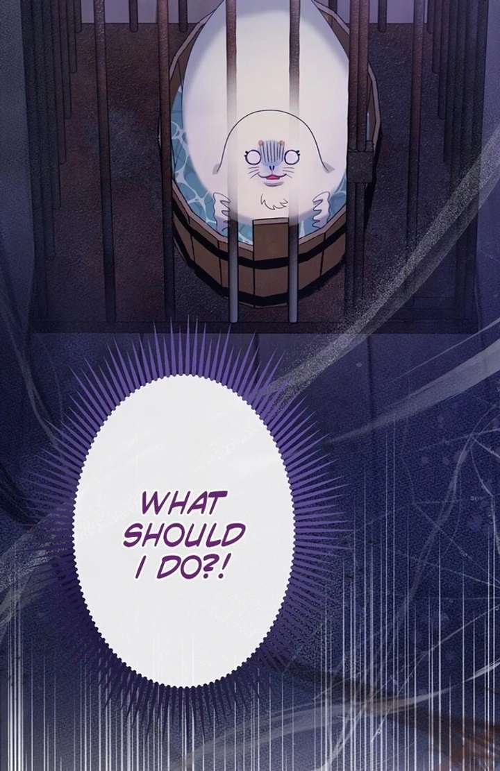 The Coldhearted Duke Is Obsessed With the Seal Princess Chapter 3 - Page 42