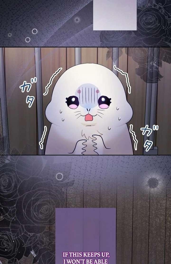 The Coldhearted Duke Is Obsessed With the Seal Princess Chapter 3 - Page 53