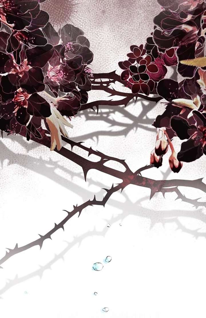 The Coldhearted Duke Is Obsessed With the Seal Princess Chapter 4 - Page 70