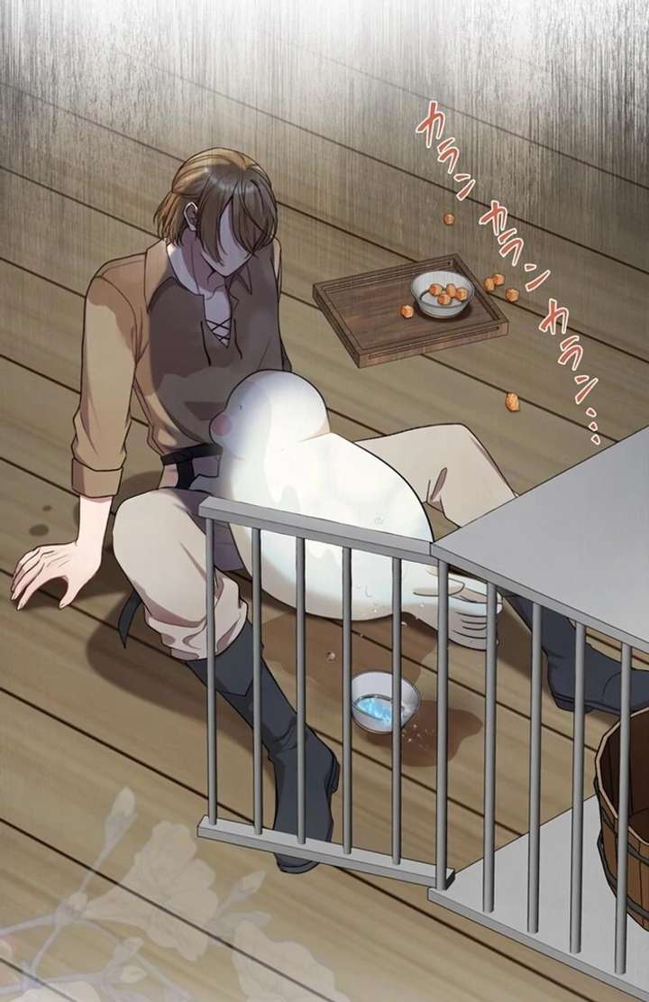 The Coldhearted Duke Is Obsessed With the Seal Princess Chapter 5 - Page 14