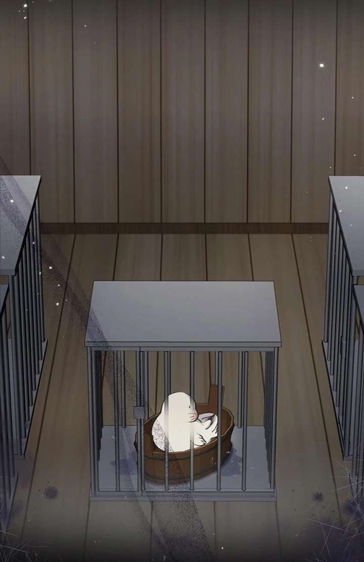 The Coldhearted Duke Is Obsessed With the Seal Princess Chapter 5 - Page 2