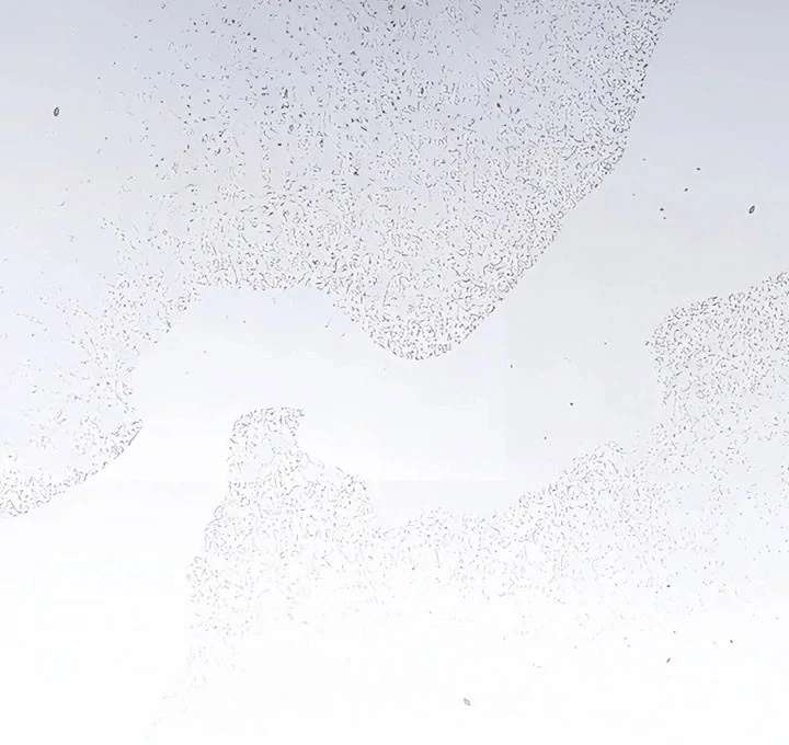 The Hidden Prince Who Loved Me Chapter 11 - Page 38