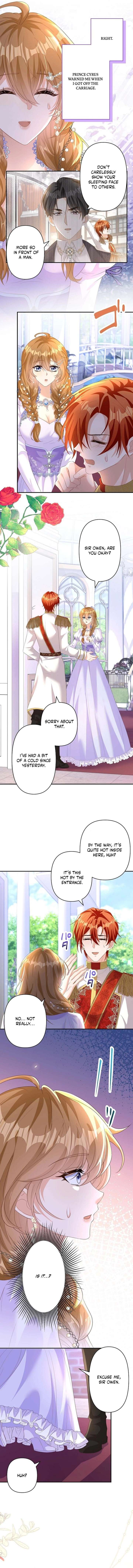 The Marriage Statute Has Expired – I Intended to Begin This Life With a Divorce, But the Prince Clings to Me Chapter 19 - Page 5