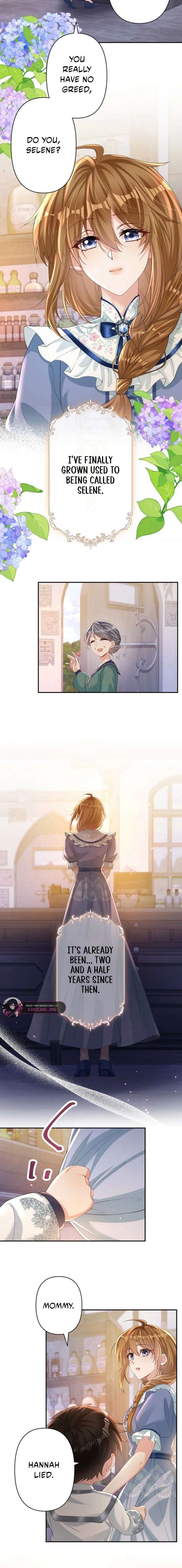 The Marriage Statute Has Expired – I Intended to Begin This Life With a Divorce, But the Prince Clings to Me Chapter 29 - Page 6