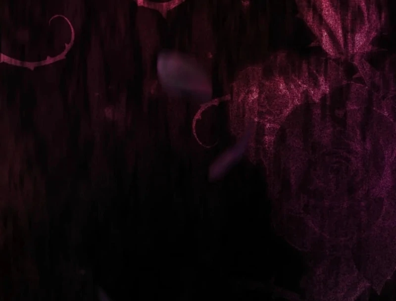 I Still Don’t Know About My Favourite Character’s Unwavering Obsession Chapter 52 - Page 102