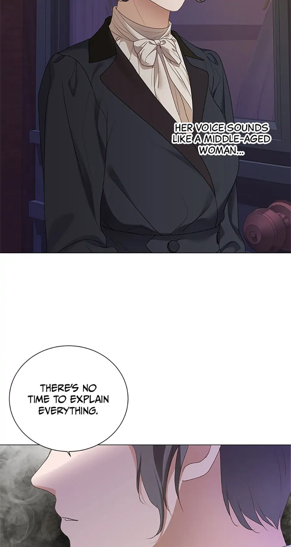 The Unwelcome Guests of House Fildette Chapter 67 - Page 12