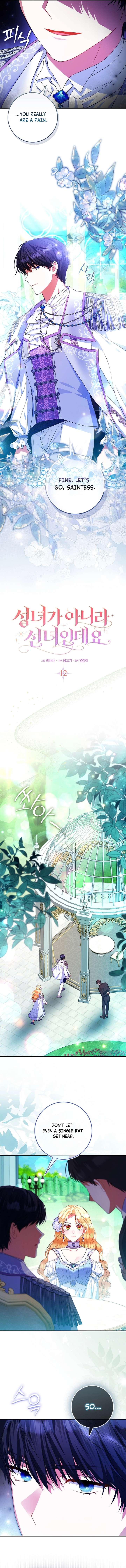 I’m a Fairy, Not a Saintess Chapter 12 - Page 7