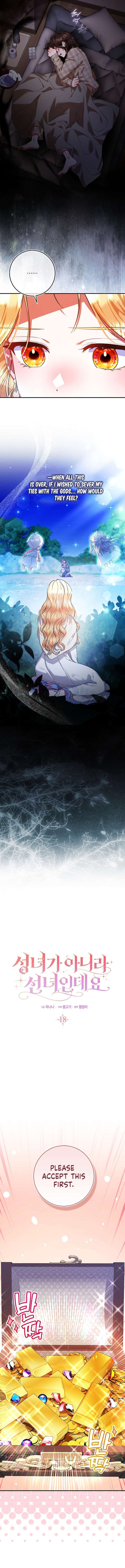 I’m a Fairy, Not a Saintess Chapter 18 - Page 5