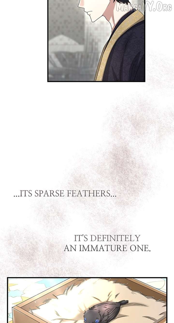 The Circumstances of the Lying Empress Chapter 27 - Page 27