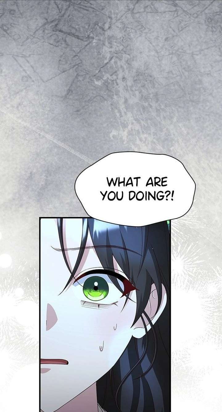 The Circumstances of the Lying Empress Chapter 41 - Page 71