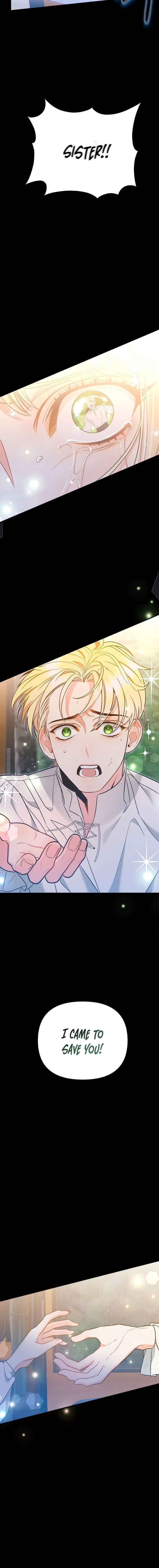 I Created a Harem to Avoid the Male Lead Chapter 5 - Page 17