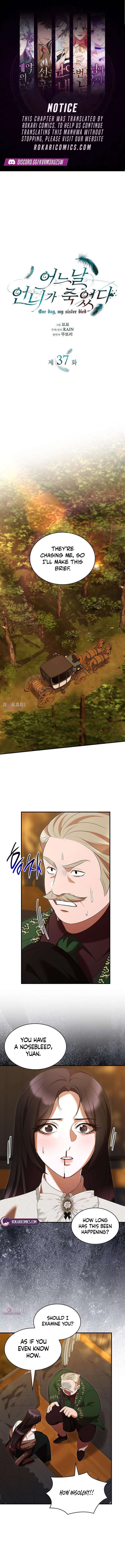 One Day My Sister Died Chapter 37 - Page 1