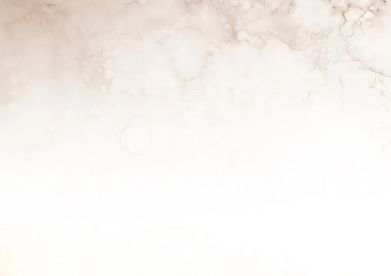 The Male Lead Is Obsessed With Proposing to Me Chapter 13 - Page 48