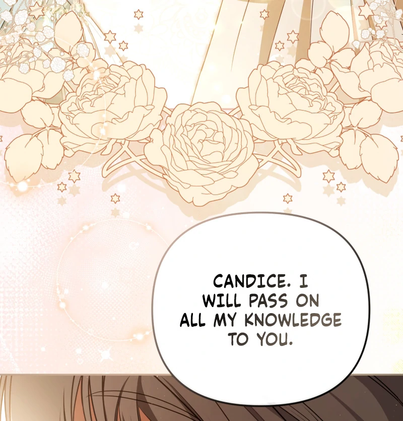 I Will Pay the Price for Deceiving You With My Life Chapter 23 - Page 66