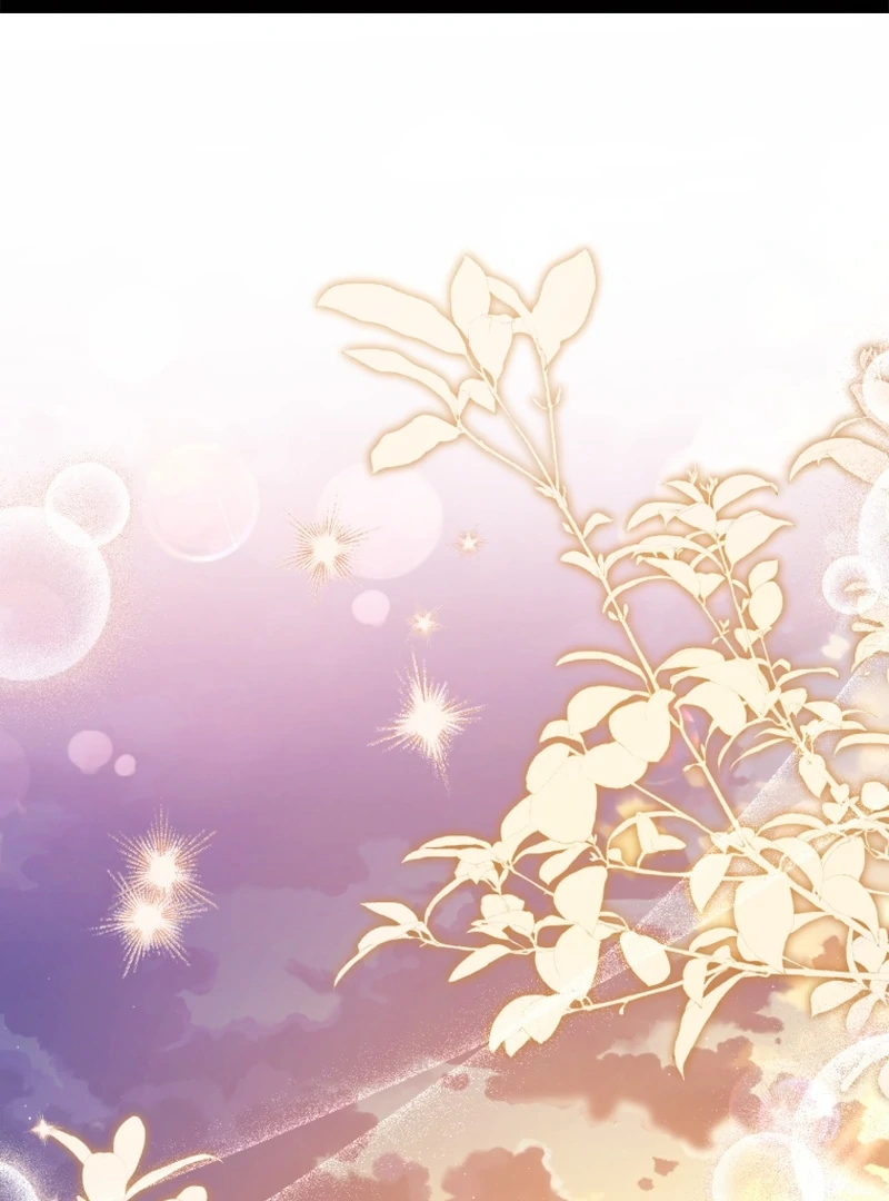 I Will Pay the Price for Deceiving You With My Life Chapter 33 - Page 2