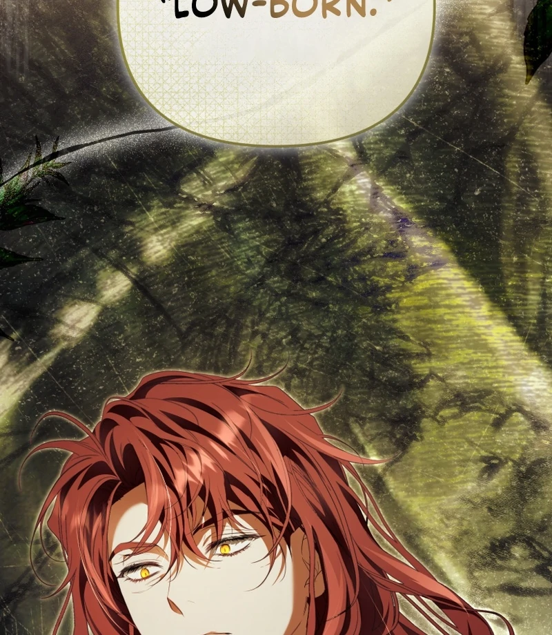 I Will Pay the Price for Deceiving You With My Life Chapter 33 - Page 95