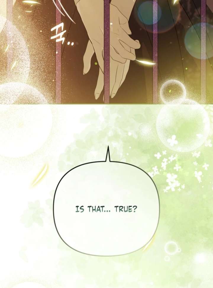 I Will Pay the Price for Deceiving You With My Life Chapter 37 - Page 13