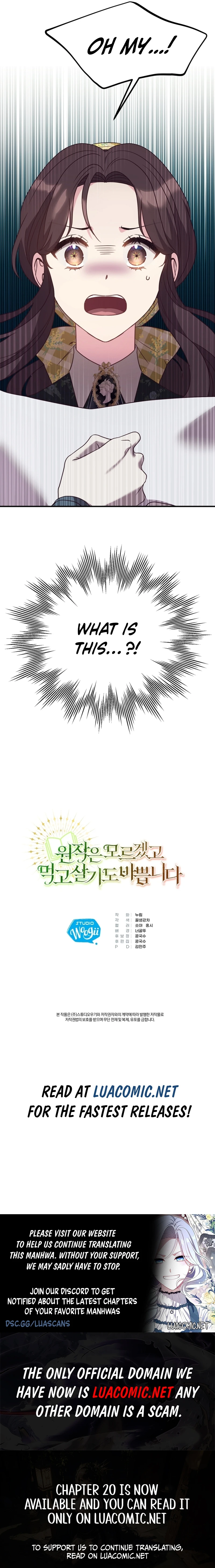 I don’t know the original, I’m too busy trying to make a living Chapter 10 - Page 17