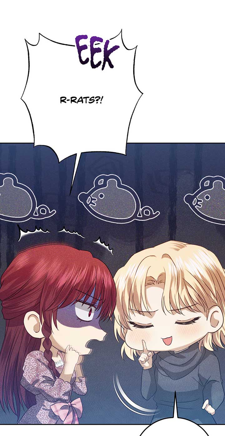 Duchess Mecklen’s Elegant Rebellion Chapter 33 - Page 17