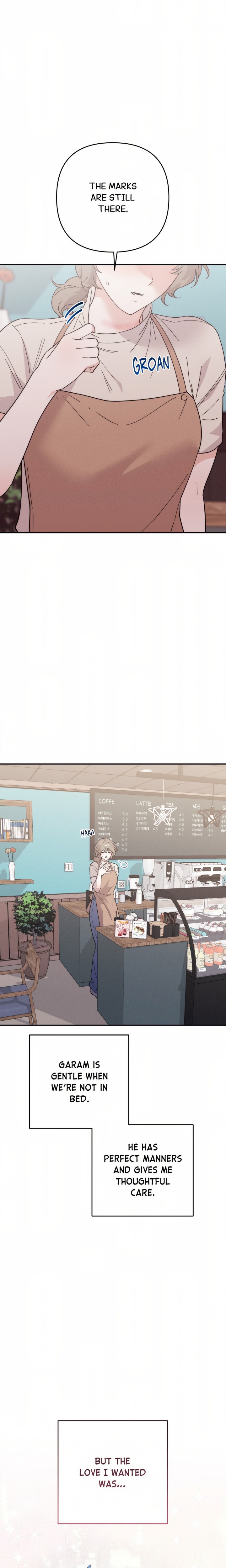 Happily Ever After Chapter 11 - Page 13