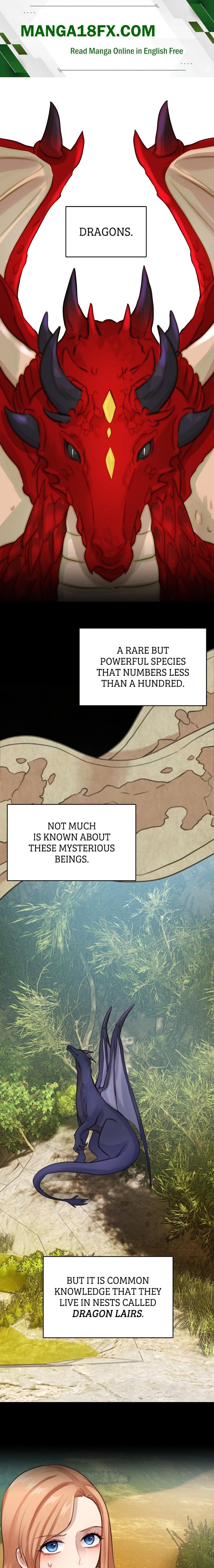 The Newlywed Diary of a Witch and a Dragon Chapter 11 - Page 1