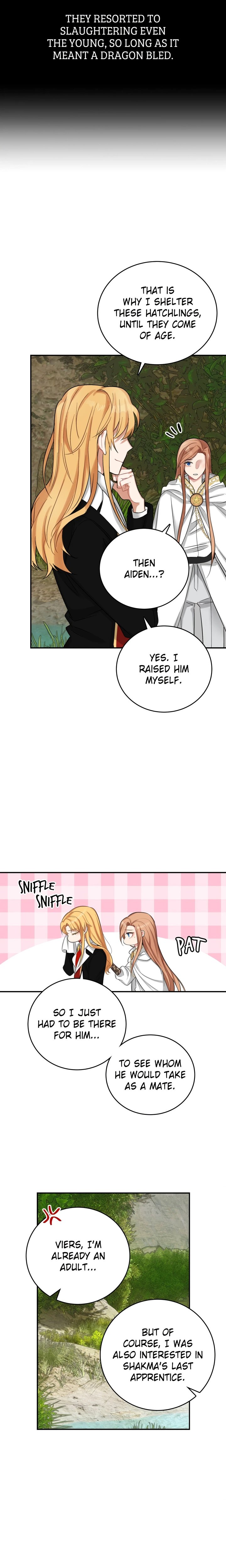 The Newlywed Diary of a Witch and a Dragon Chapter 18 - Page 13