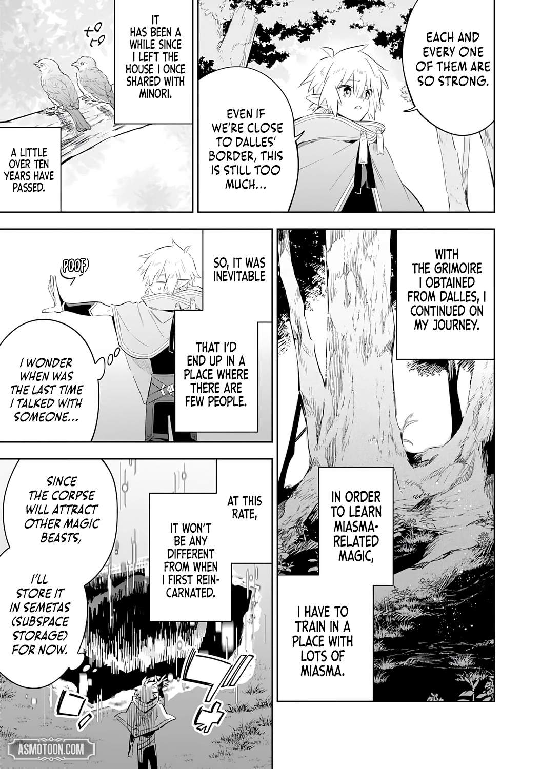 The Reincarnated Elf Left on a Journey to Master His Magic and With His Extra Lifespan Became a Living Legend Chapter 28 - Page 8
