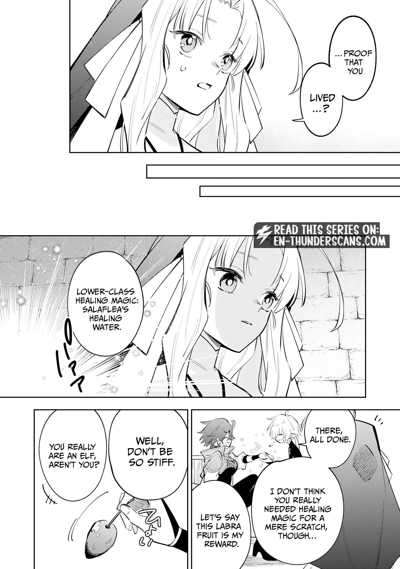 The Reincarnated Elf Left on a Journey to Master His Magic and With His Extra Lifespan Became a Living Legend Chapter 33 - Page 13