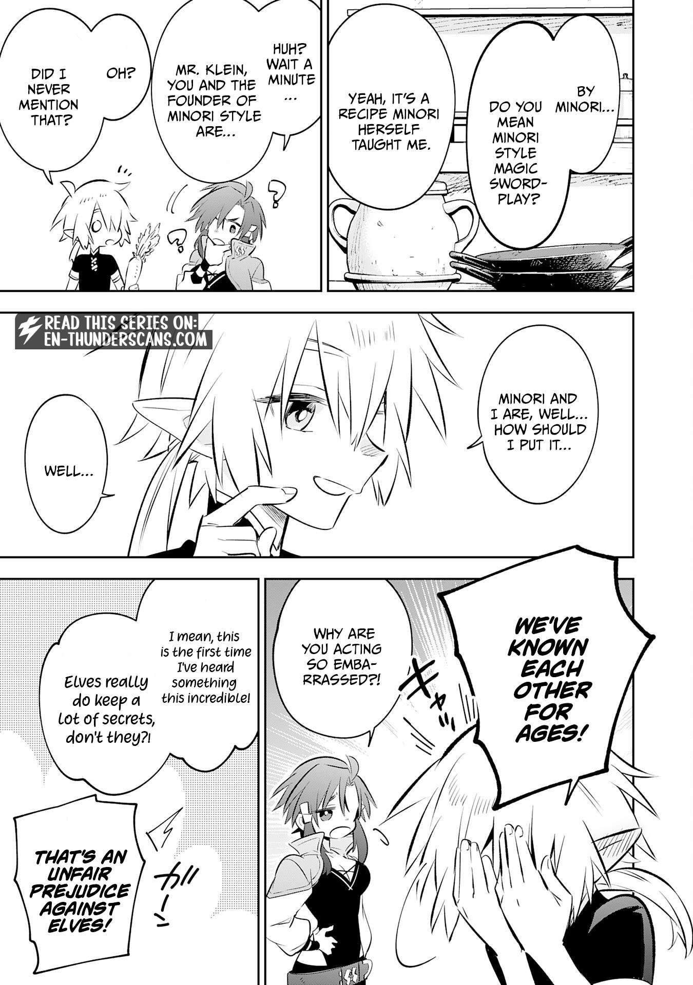 The Reincarnated Elf Left on a Journey to Master His Magic and With His Extra Lifespan Became a Living Legend Chapter 35 - Page 17