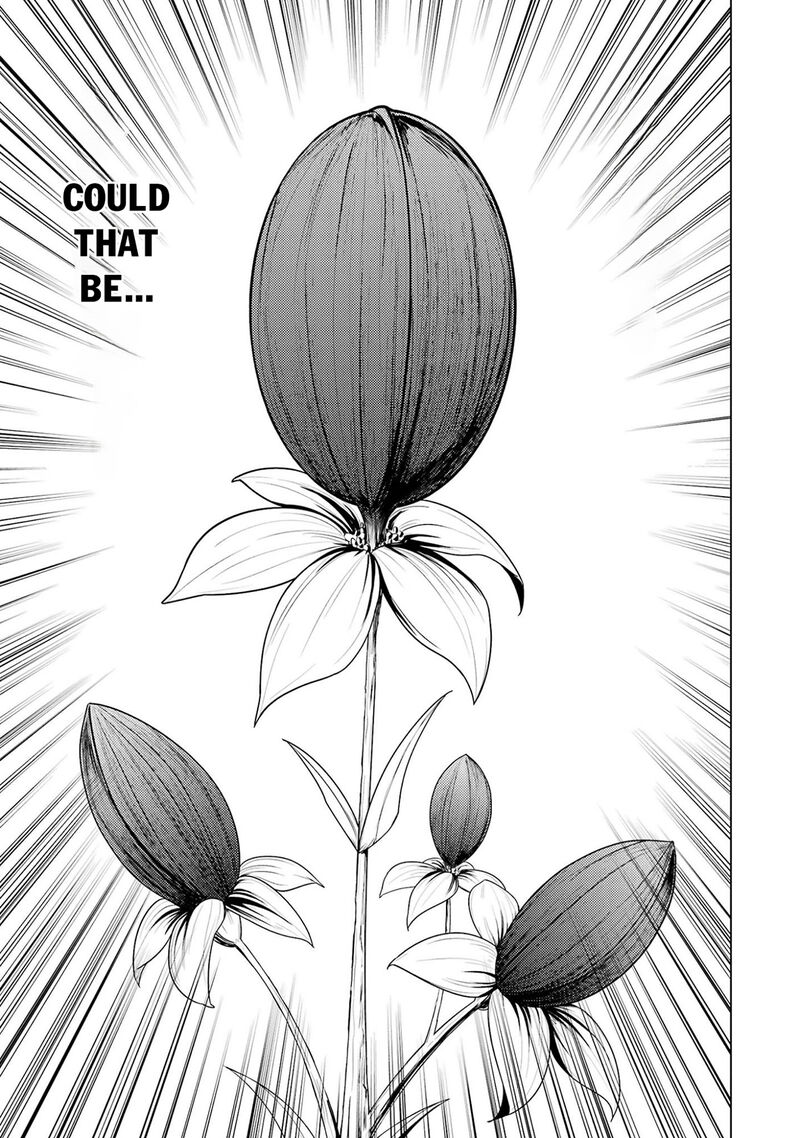 Tensei Kenja no Isekai Life ~Daini no Shokugyou wo Ete, Sekai Saikyou ni Narimashita~ Chapter 98 - Page 46