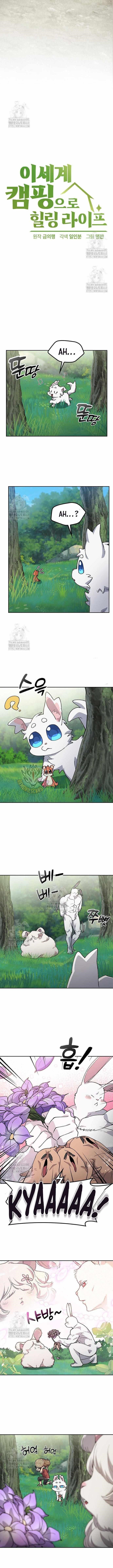 Healing Life Through Camping In Another World Chapter 81 - Page 5