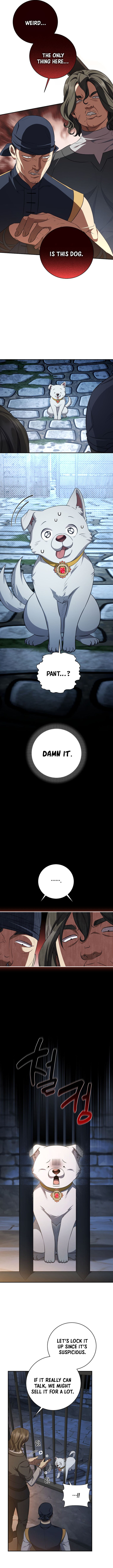 Margrave’s Bastard Son was The Emperor Chapter 97 - Page 4