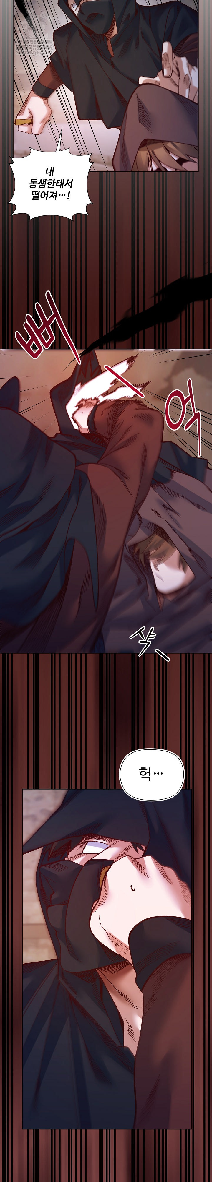 I Will Protect the Lady Raw Chapter 36 - Page 15