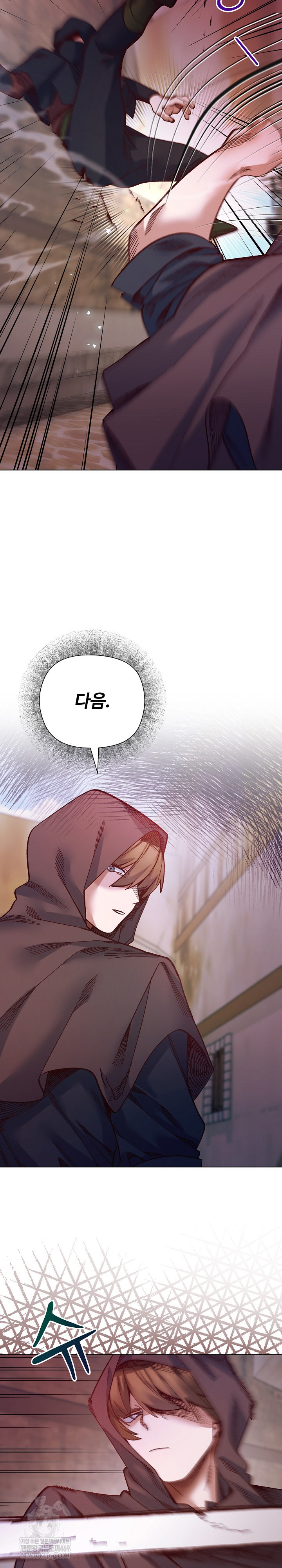 I Will Protect the Lady Raw Chapter 36 - Page 17