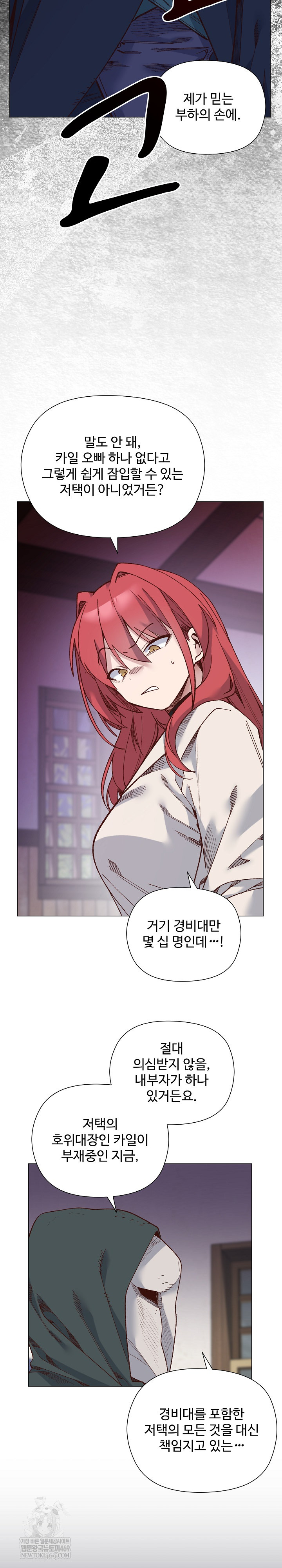 I Will Protect the Lady Raw Chapter 49 - Page 13