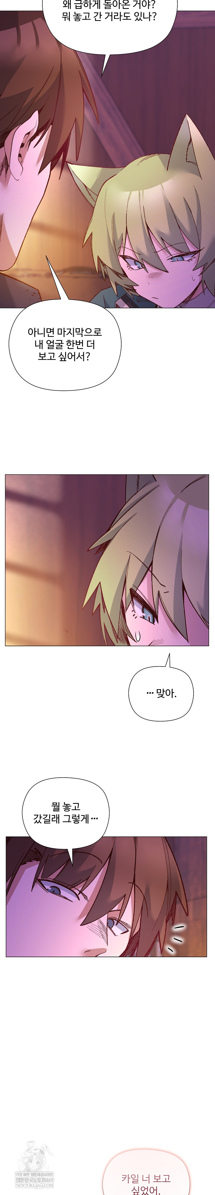 I Will Protect the Lady Raw Chapter 49 - Page 25