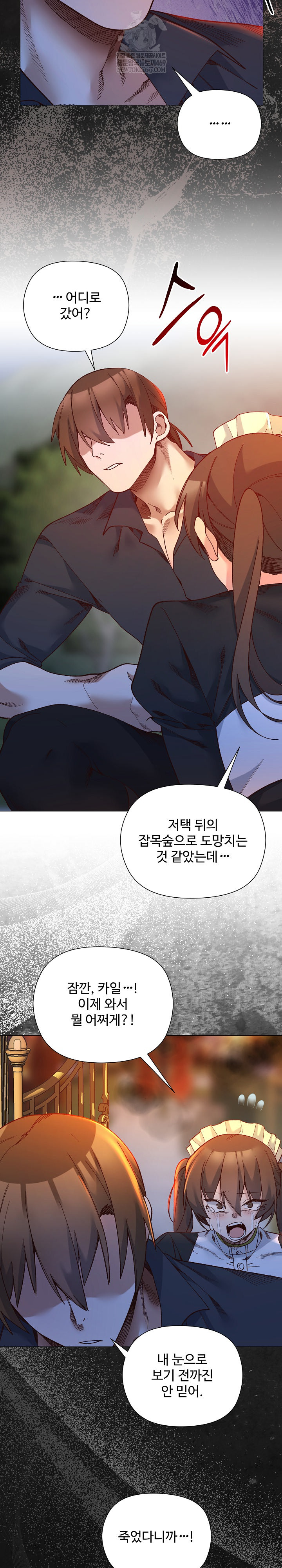 I Will Protect the Lady Raw Chapter 51 - Page 13