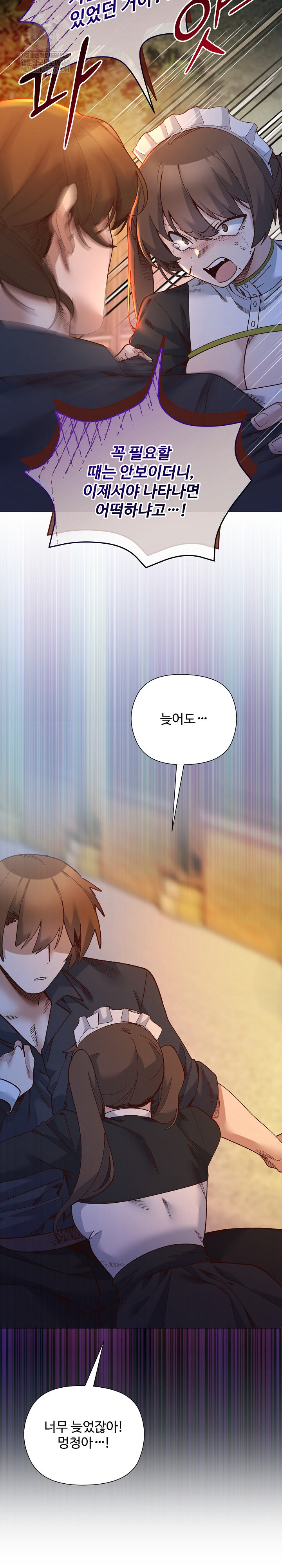 I Will Protect the Lady Raw Chapter 51 - Page 9