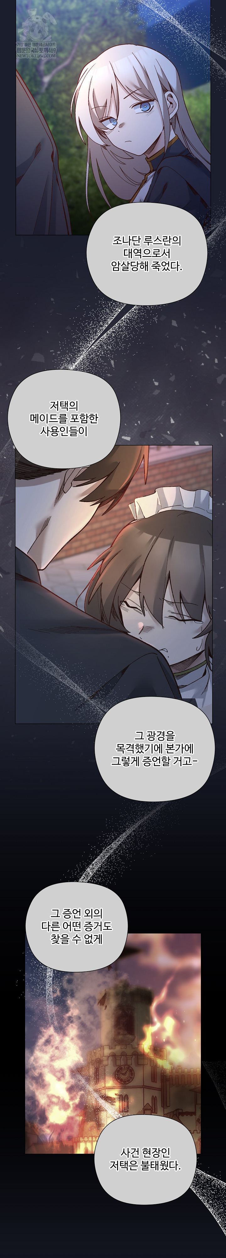 I Will Protect the Lady Raw Chapter 53 - Page 25