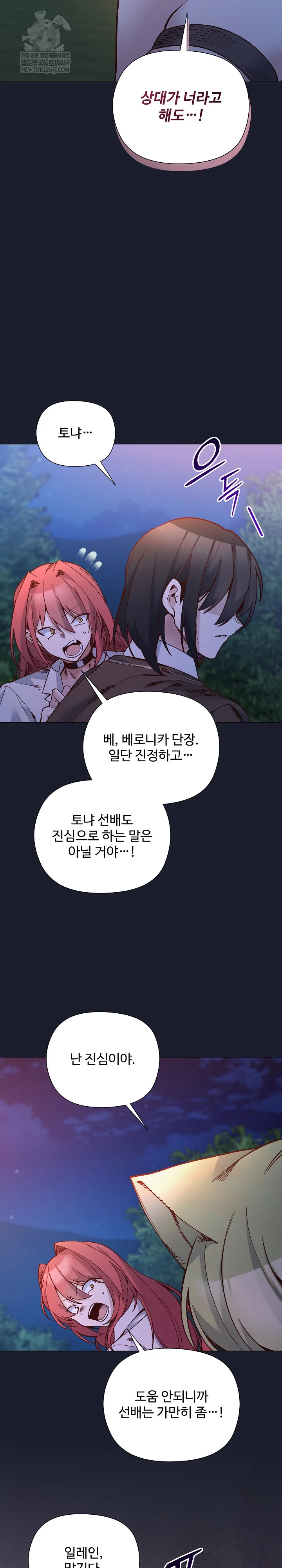 I Will Protect the Lady Raw Chapter 54 - Page 12