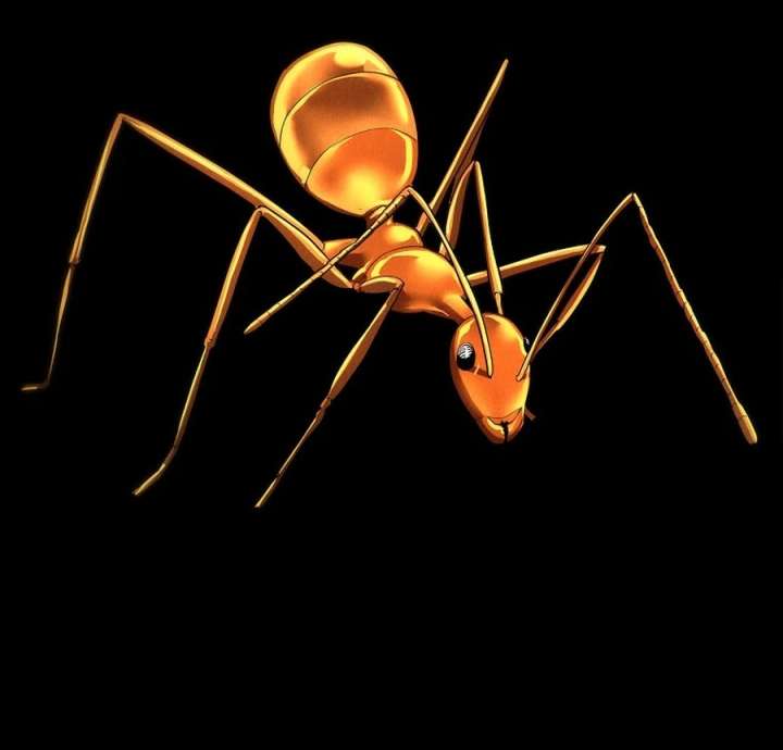 Empire of the Ants Chapter 11 - Page 90