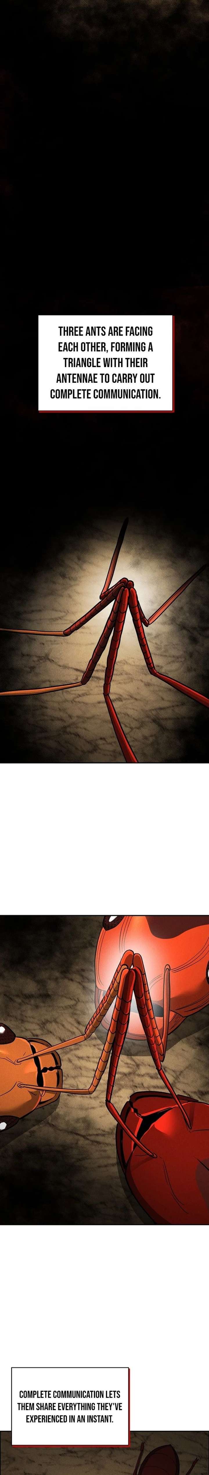 Empire of the Ants Chapter 20 - Page 18