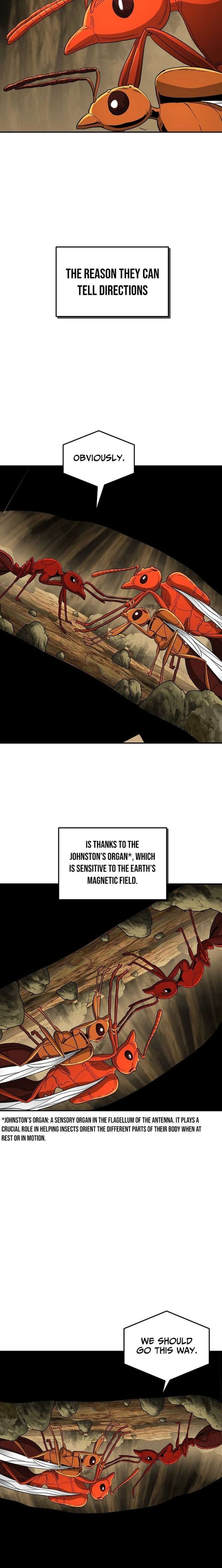 Empire of the Ants Chapter 23 - Page 2