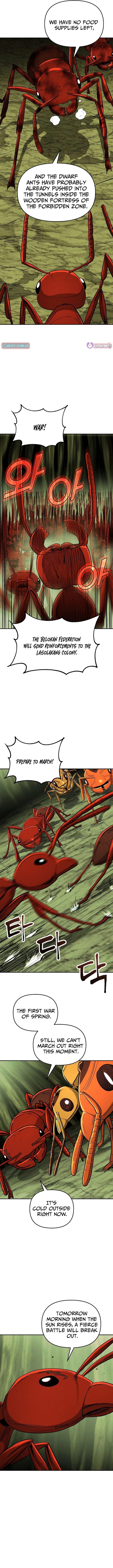 Empire of the Ants Chapter 26 - Page 5