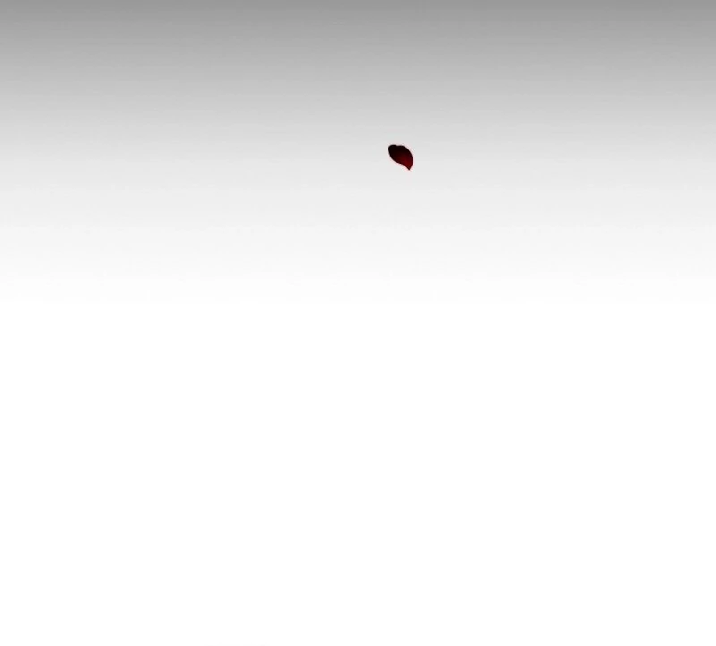 A Mouse Biting a Dragon’s Tail Chapter 52 - Page 28